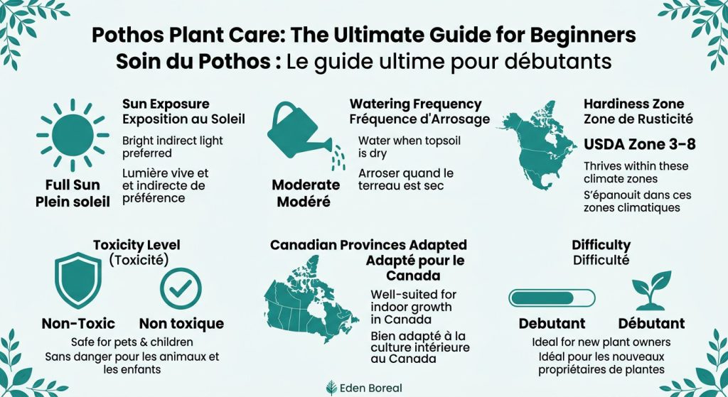 Pothos Plant Care: The Ultimate Guide for Beginners — care & hardiness zone infographic