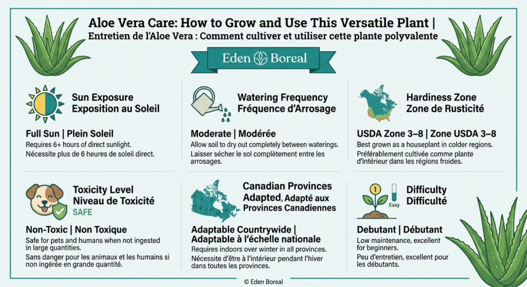 Aloe Vera Care: How to Grow and Use This Versatile Plant — care & hardiness zone infographic