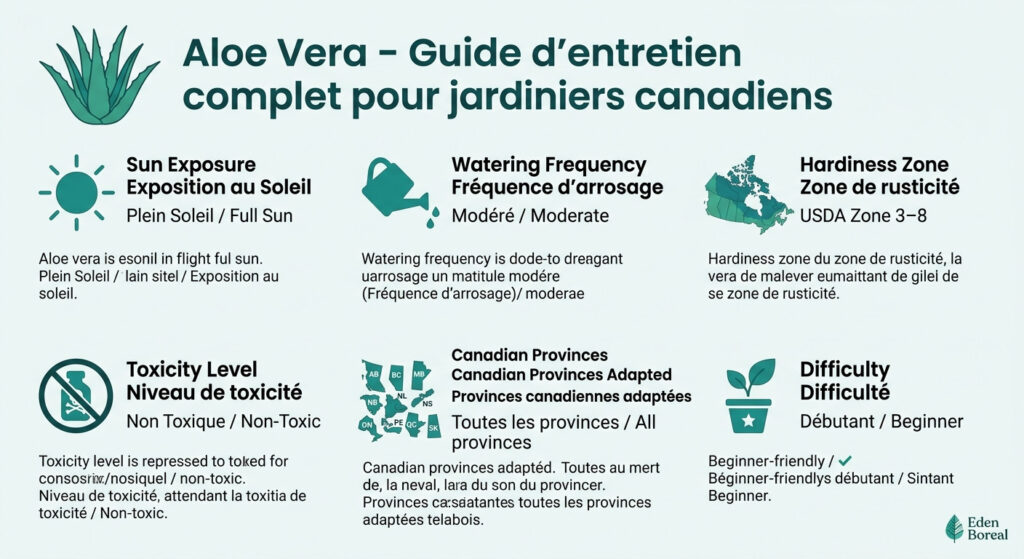 Aloe Vera - Guide d'entretien complet pour jardiniers canadiens — infographie soins et zones de rusticité