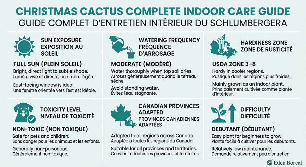 Christmas Cactus - Complete Indoor Care Guide — care & hardiness zone infographic
