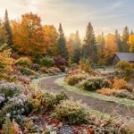 Zones de rusticité : décryptez enfin ce code mystérieux