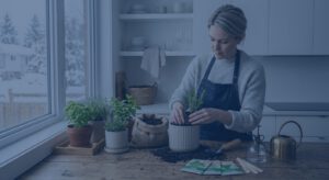 Indoor Herb Garden in Canada: Grow Fresh Herbs All Year — practical gardening guide