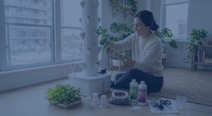 Installer son système d'hydroponie en appartement au Canada — guide pratique de jardinage