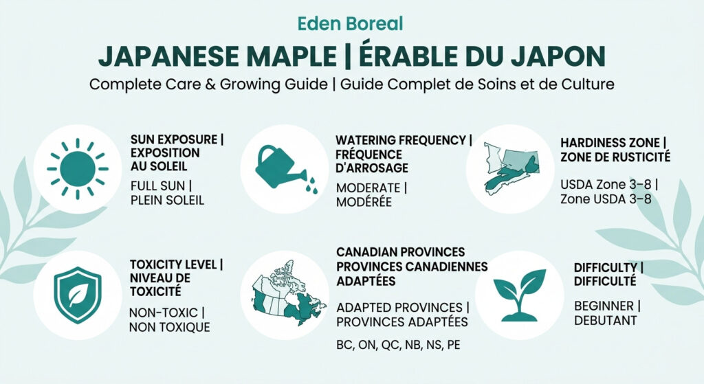 Japanese Maple - Complete Care and Growing Guide — care & hardiness zone infographic