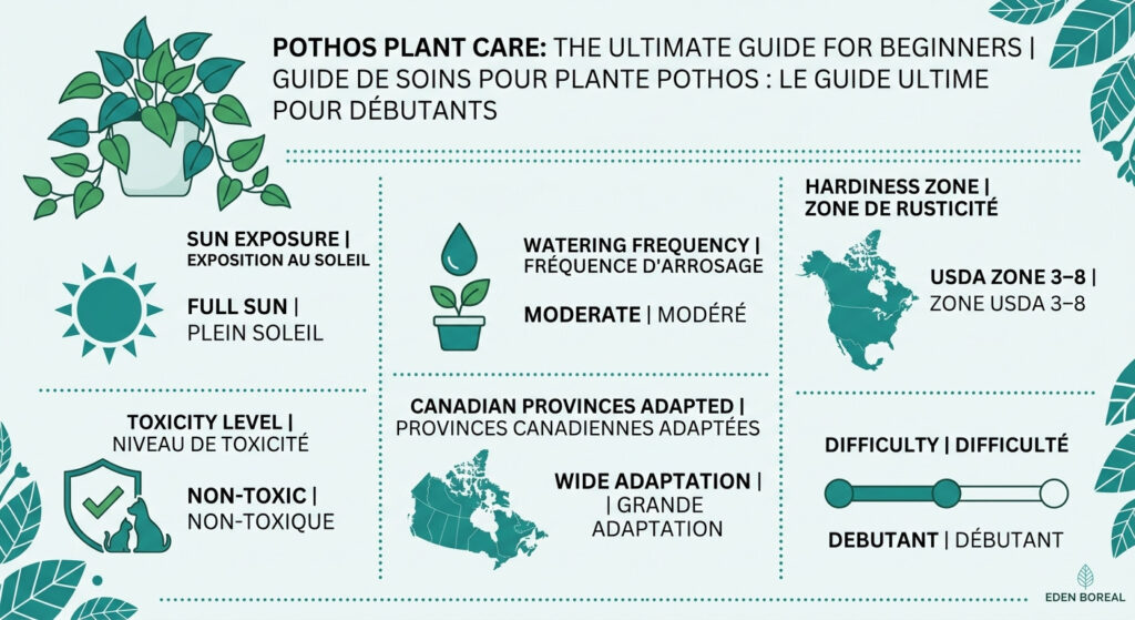 Pothos Plant Care: The Ultimate Guide for Beginners — care & hardiness zone infographic