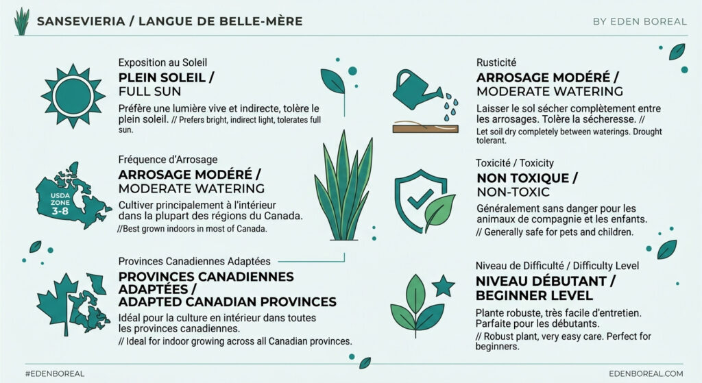 Sansevieria (langue de belle-mère) : entretien et arrosage — infographie soins et zones de rusticité