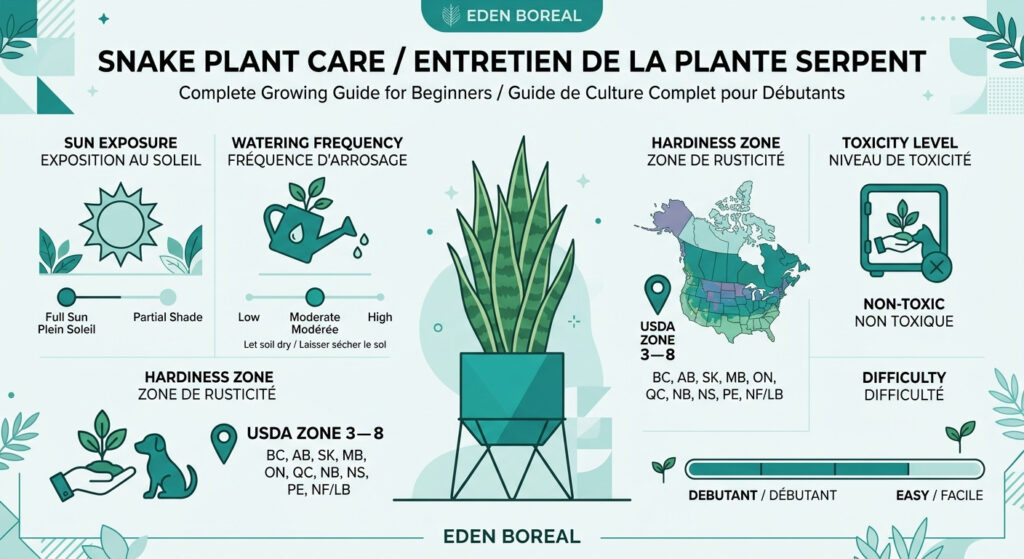 Snake Plant Care: Complete Growing Guide for Beginners - care & hardiness zone infographic